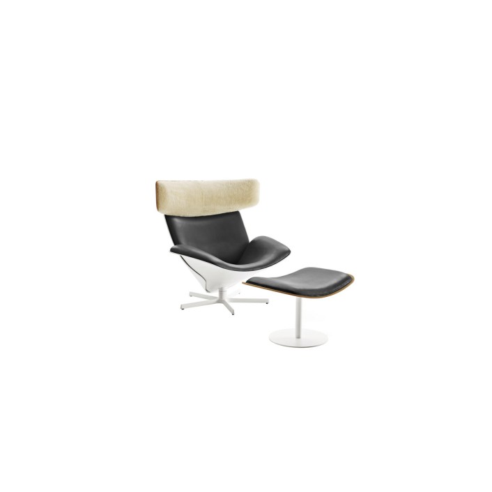 Almora Armchairs