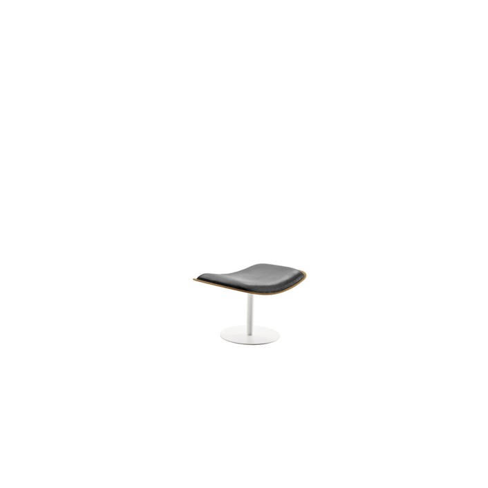 Almora Armchairs