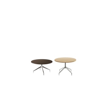 Sina Coffee Tables