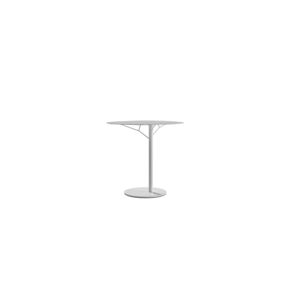 SEQUOIA Coffee Tables