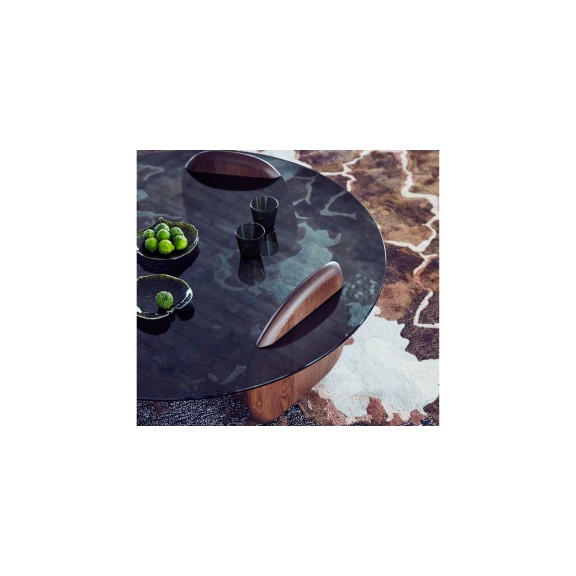 SHARK Coffee Tables