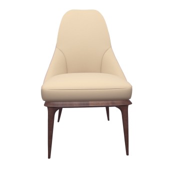 ASHA Chairs