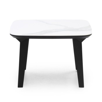 V265Q Coffee Tables