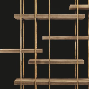CAGE-B Bookcases