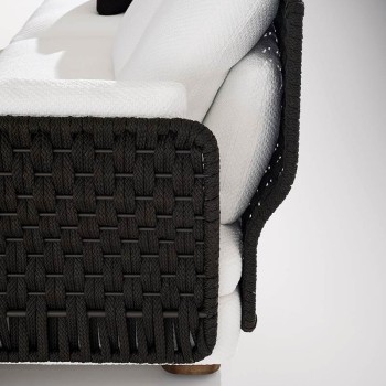 Amii Sofas