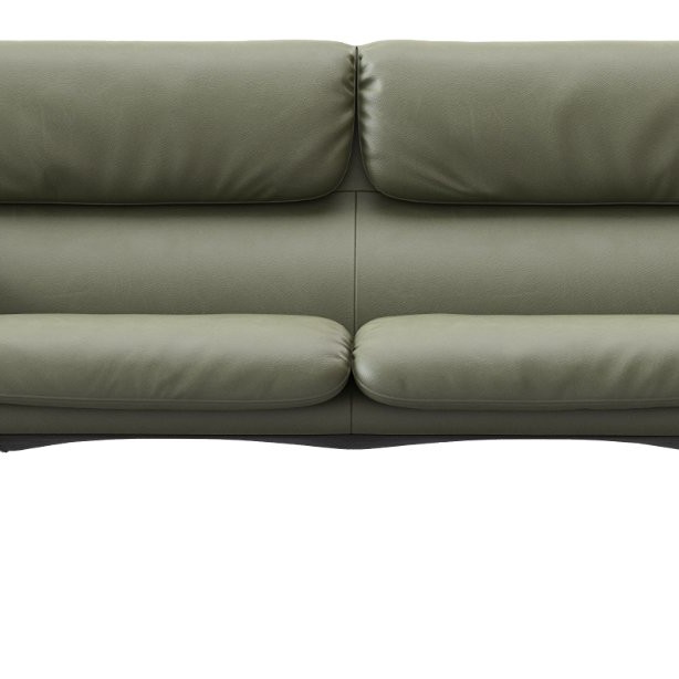 DS-2011 Sofas