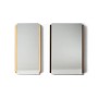 DD-14292 Mirrors