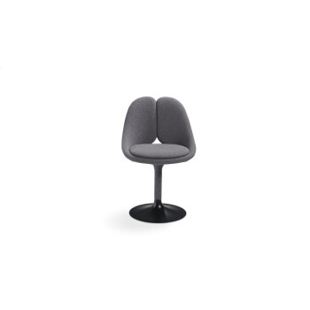 Qiss Chairs