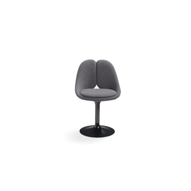 Qiss Chairs