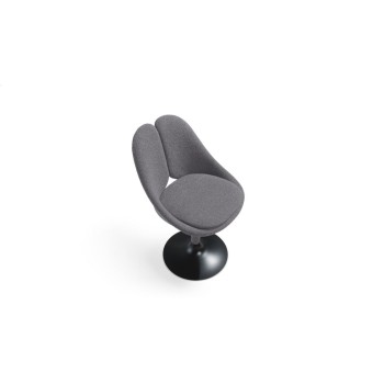 Qiss Chairs