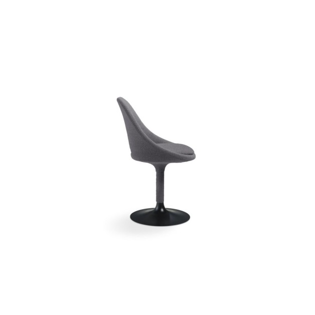 Qiss Chairs