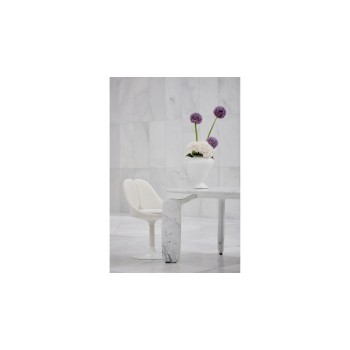 Qiss Chairs