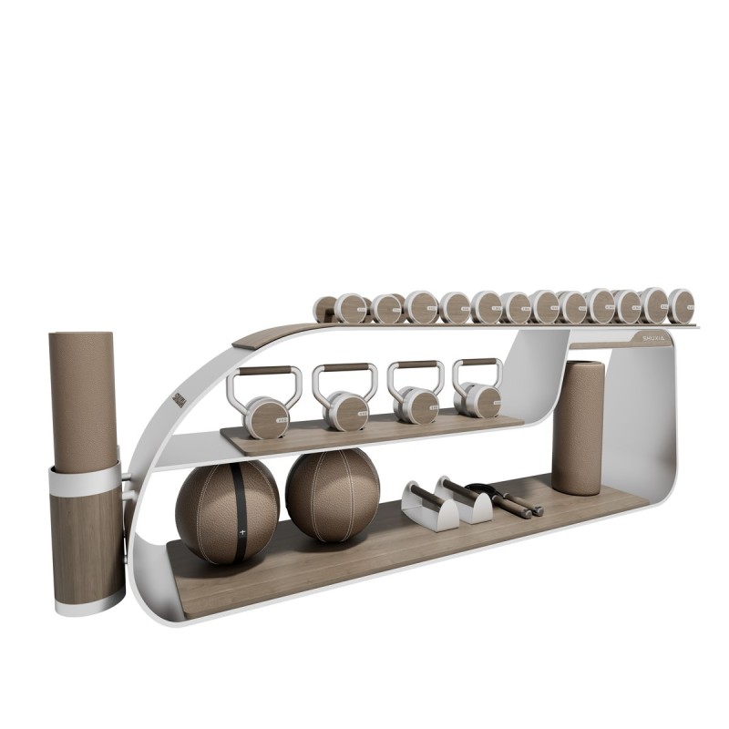 DELVAR-Z01 Gym Equipment