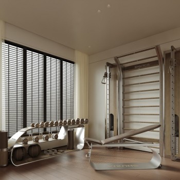 DELVAR-Z01 Gym Equipment