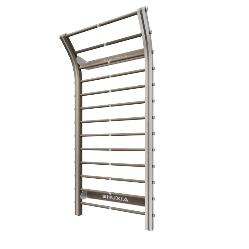 DELVAR-Z06 Gym Equipment