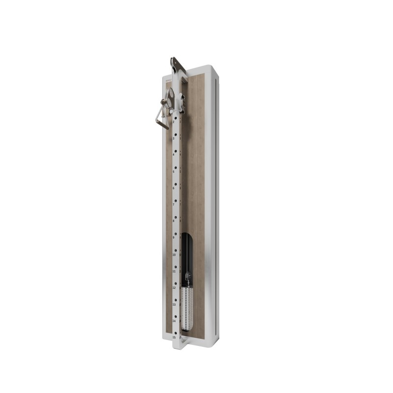 DELVAR-Z07 Gym Equipment