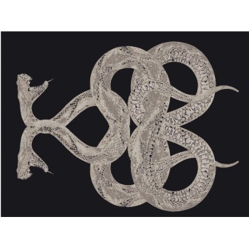 SNAKE Rugs