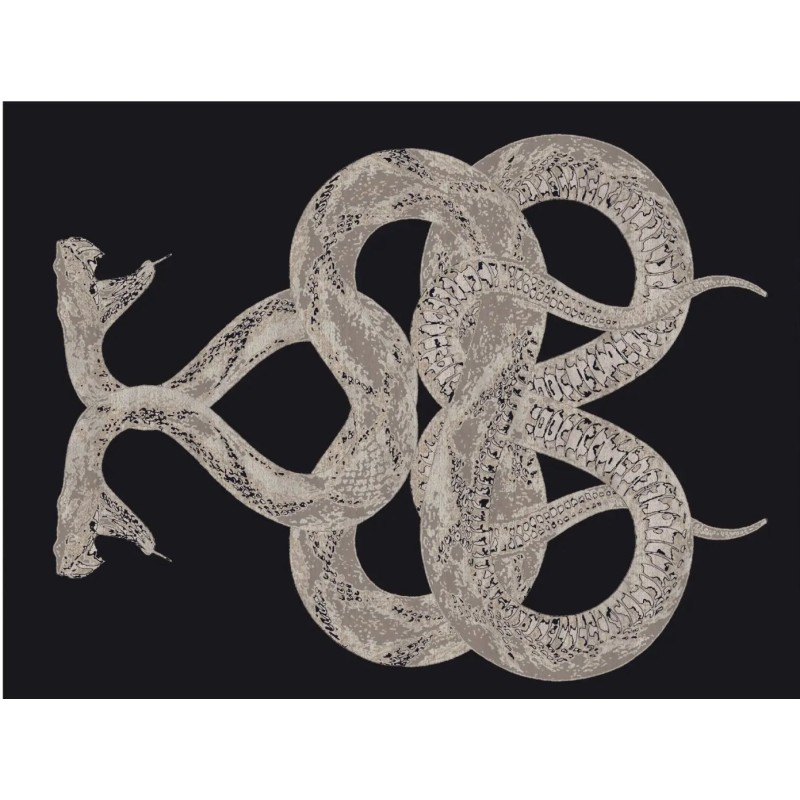 SNAKE Rugs