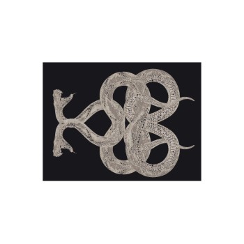SNAKE Rugs