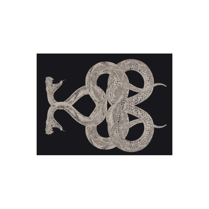 SNAKE Rugs