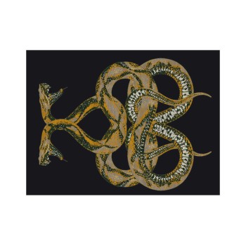 SNAKE Rugs