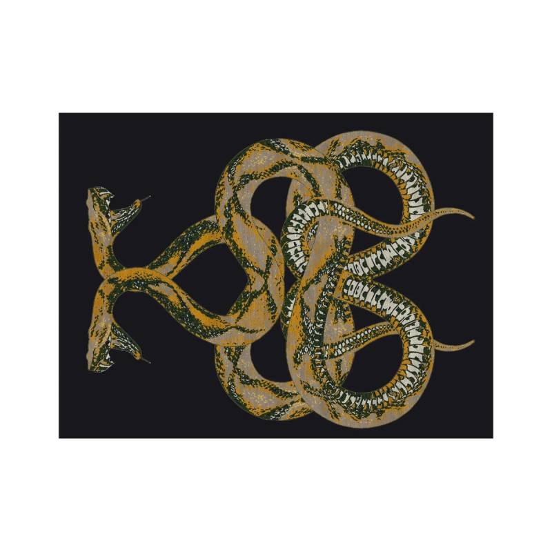 SNAKE Rugs