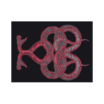 SNAKE Rugs