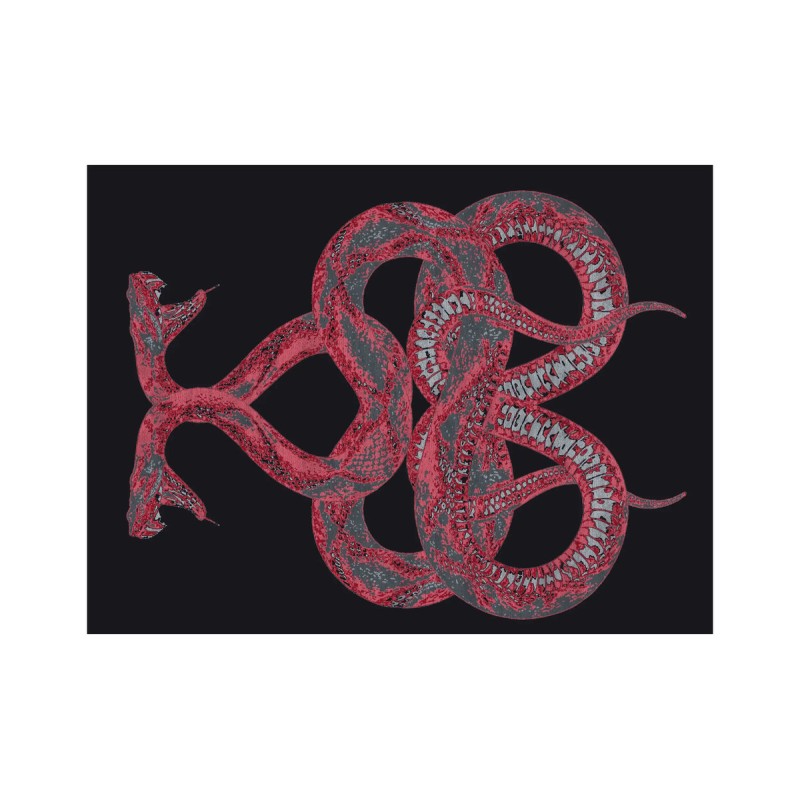 SNAKE Rugs