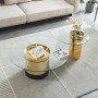 Gallotti&Radice Coffee Table Set Crafted from Tempered