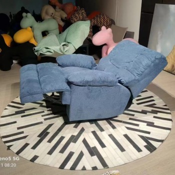 Baxter Fabric Leisure Chair (XF-2302)
