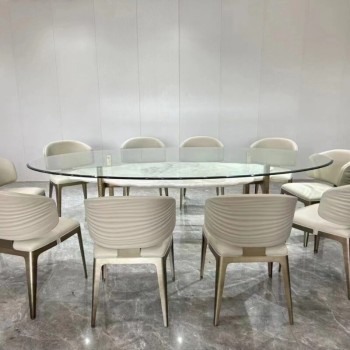 Visionnaire Dining Chair (XF-3919)