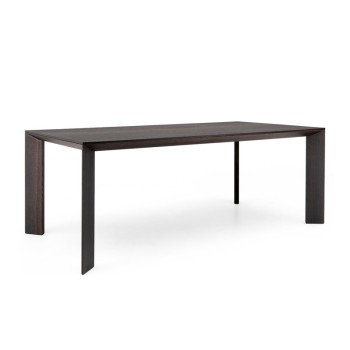 Poliform Rectangle Dining Table (XF-4375)