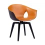 Poltrona Frau Armchair
