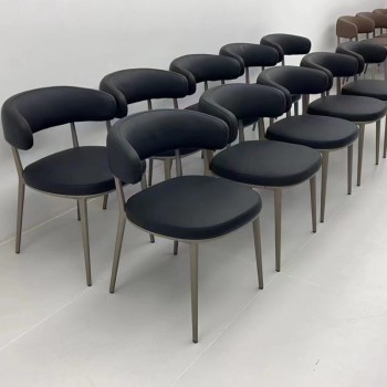 Italian B&B B&B Dining Chairs Leather (XF-4892)
